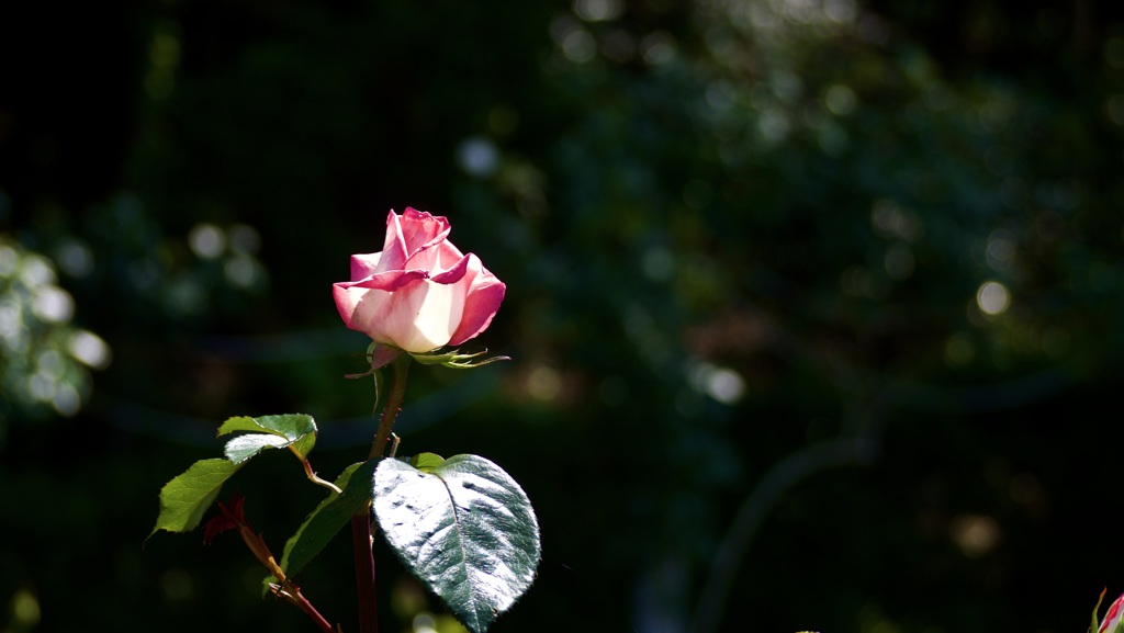 P1080379