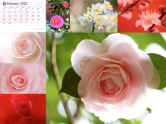 2022calendar2.003