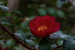 P1050624