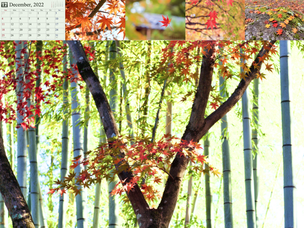 2022calendar.003