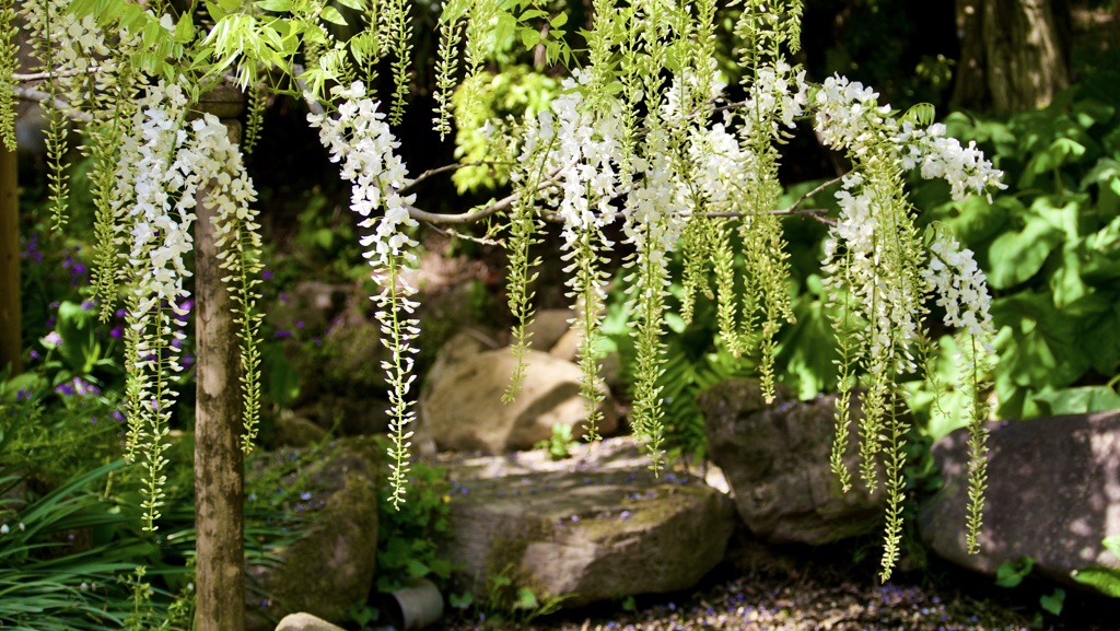 P1070803