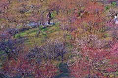 P1050713