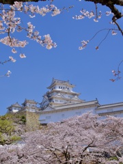 P1060590