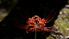 P1090739