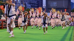 P1090556