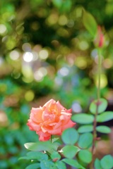 P1090787