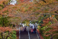 P1050247