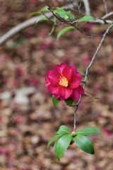 P1050410