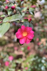 IMG_3520