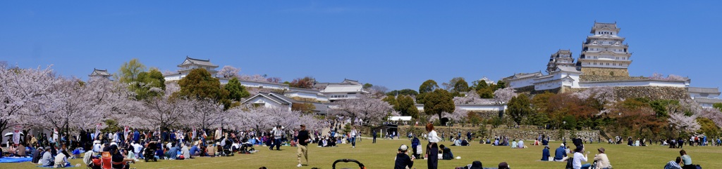 P1060567