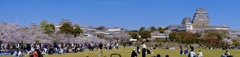 P1060567