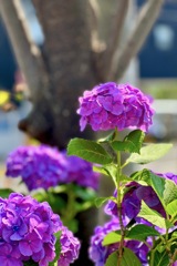 IMG_2026