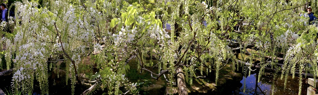 P1070917