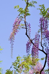 P1070816
