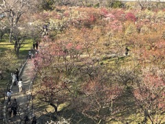 IMG_4100