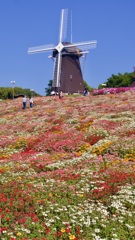 P1090880