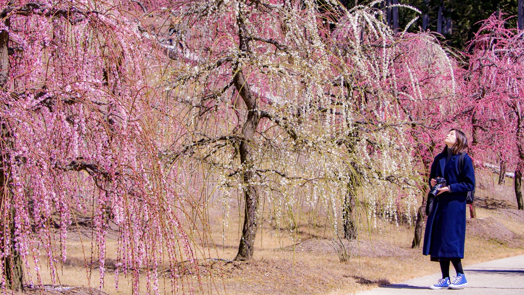 P1130322