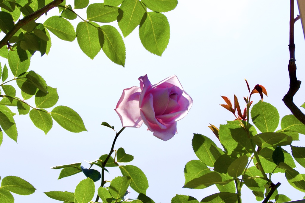 P1080435