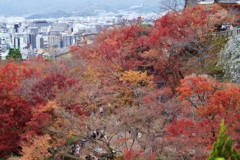 P1050233