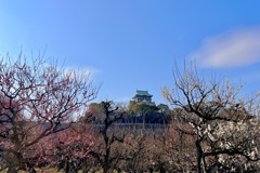 IMG_4054
