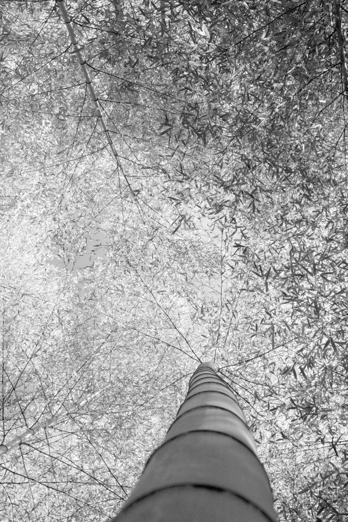 P1080709