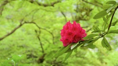 P1070604