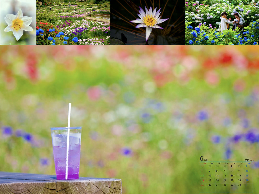 2023年calendar.002