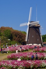 P1090910