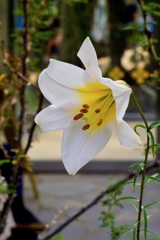 P1040638