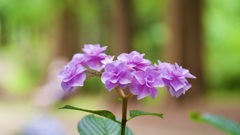 P1090405