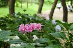 P1090272