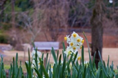 P1050595