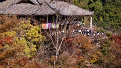 P1100191