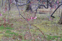 P1050650