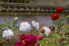 P1070372