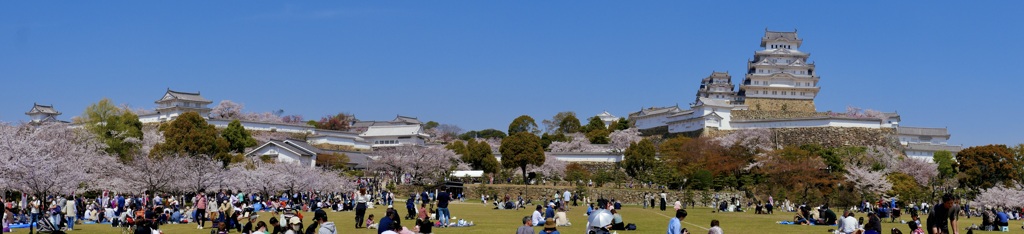 P1060566