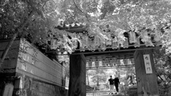 P1080553