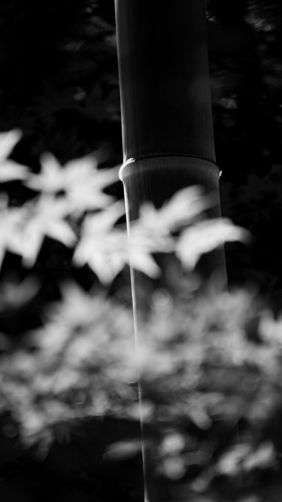 P1080693