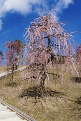 P1130257