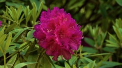 P1080257