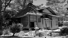 P1080598