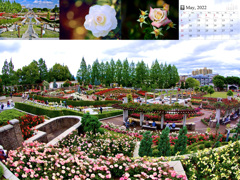 2022calendar2.011