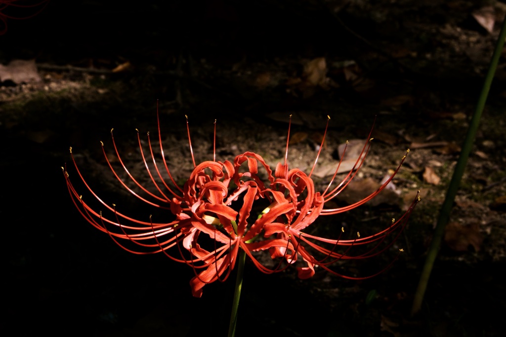 P1090763