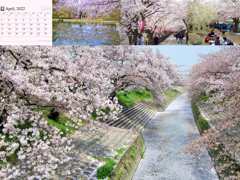 2022calendar2.007