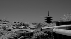 P1080546