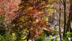 P1100139