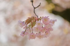 P1060275