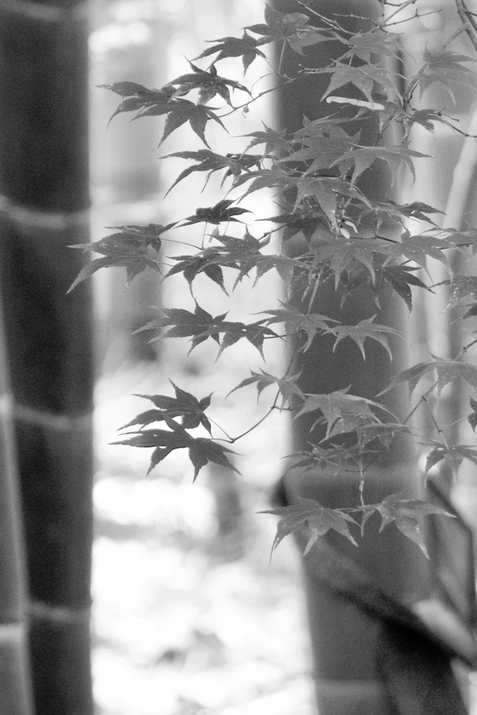 P1080651