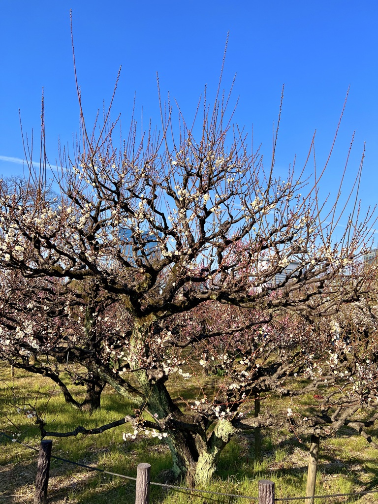 IMG_4080