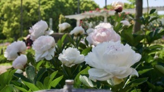 P1080141